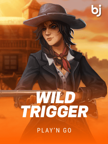 Wild Trigger screenshot